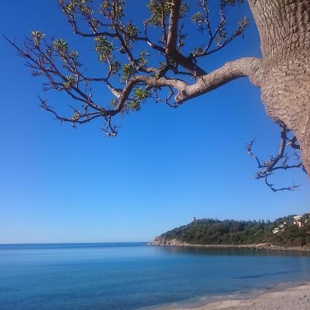 Apartmán Un Po Di Relax A Pochi Passi Dal Mare! Àrbatax Exteriér fotografie
