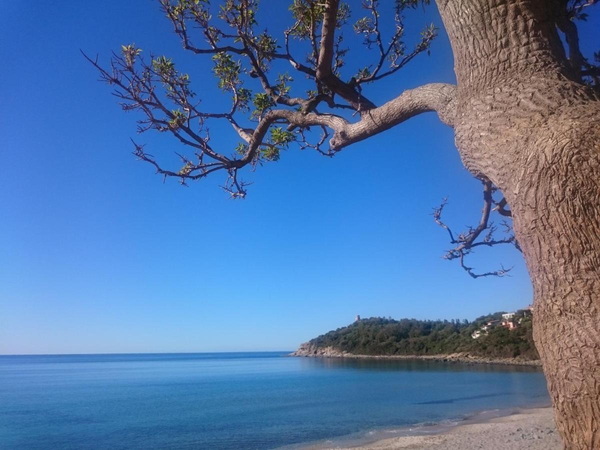 Apartmán Un Po Di Relax A Pochi Passi Dal Mare! Àrbatax Exteriér fotografie