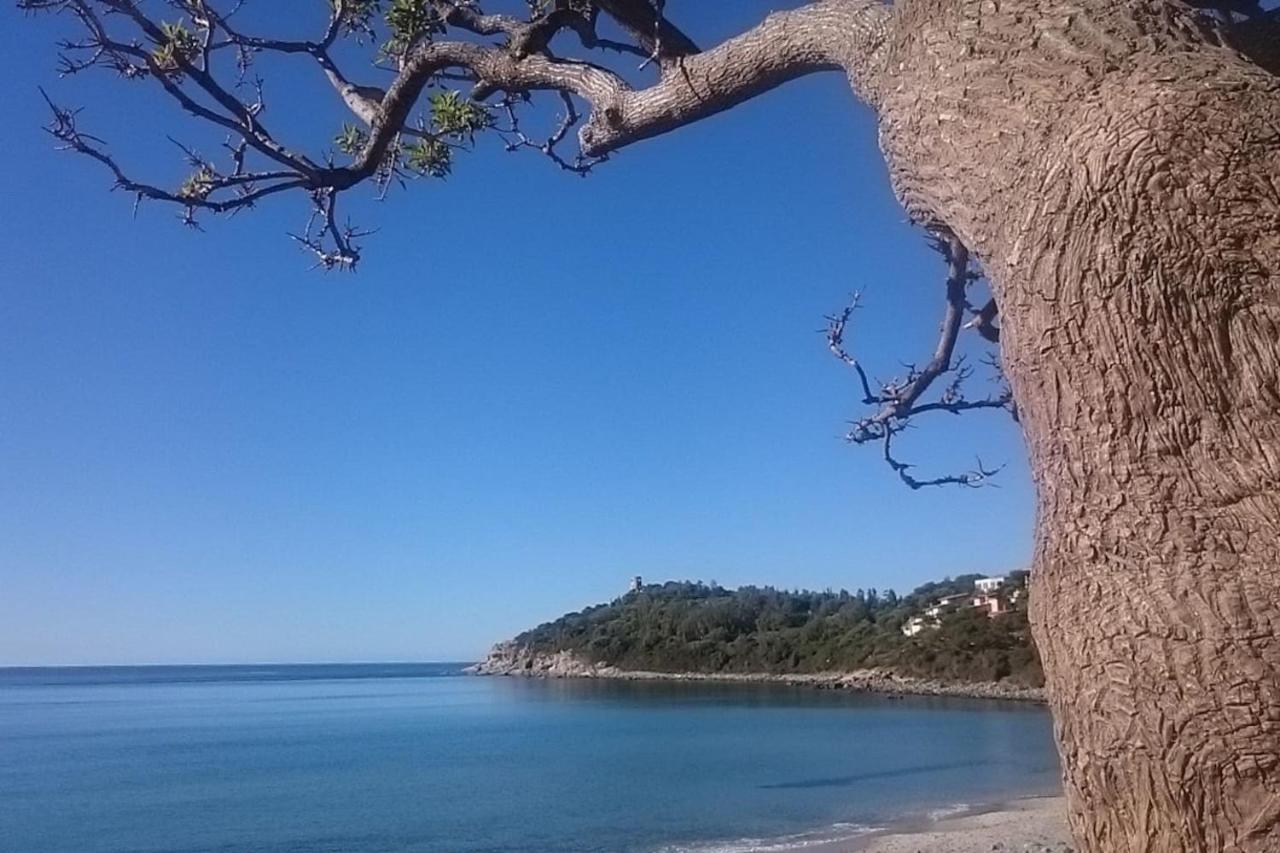Apartmán Un Po Di Relax A Pochi Passi Dal Mare! Àrbatax Exteriér fotografie